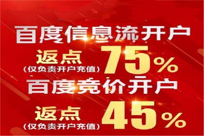 如何利用百度竞价代理：真实案例分析